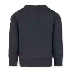Barn Grå Sweatshirt Sweaters