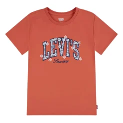 Chambray Applique Top