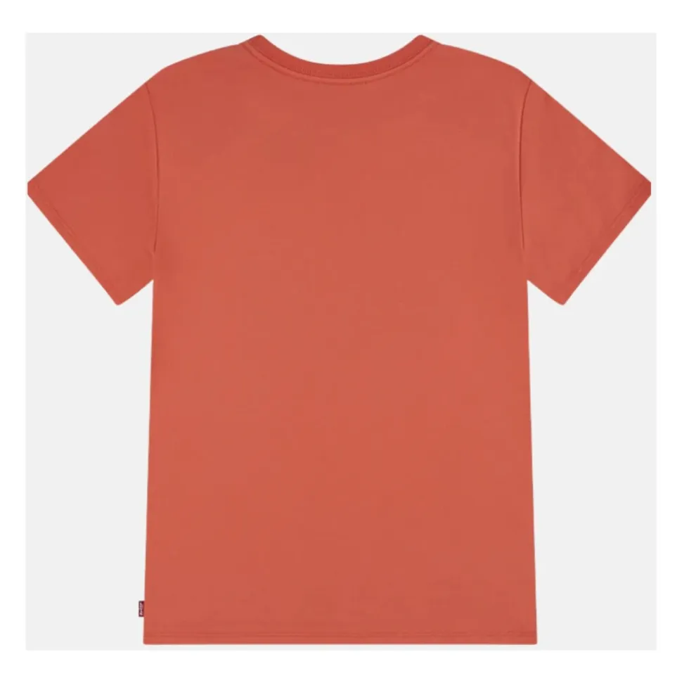 Chambray Applique Top