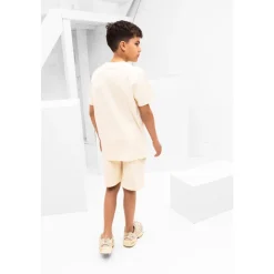 Circle Logo Zomerset