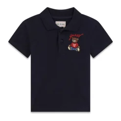 Embroidered Polo