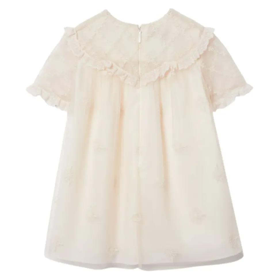 Embroidered Tulle Dress