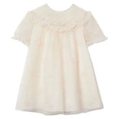 Embroidered Tulle Dress