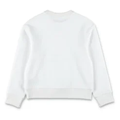 Fleece Bear Logo