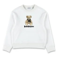 Fleece Bear Logo