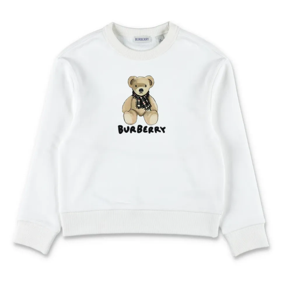Fleece Bear Logo