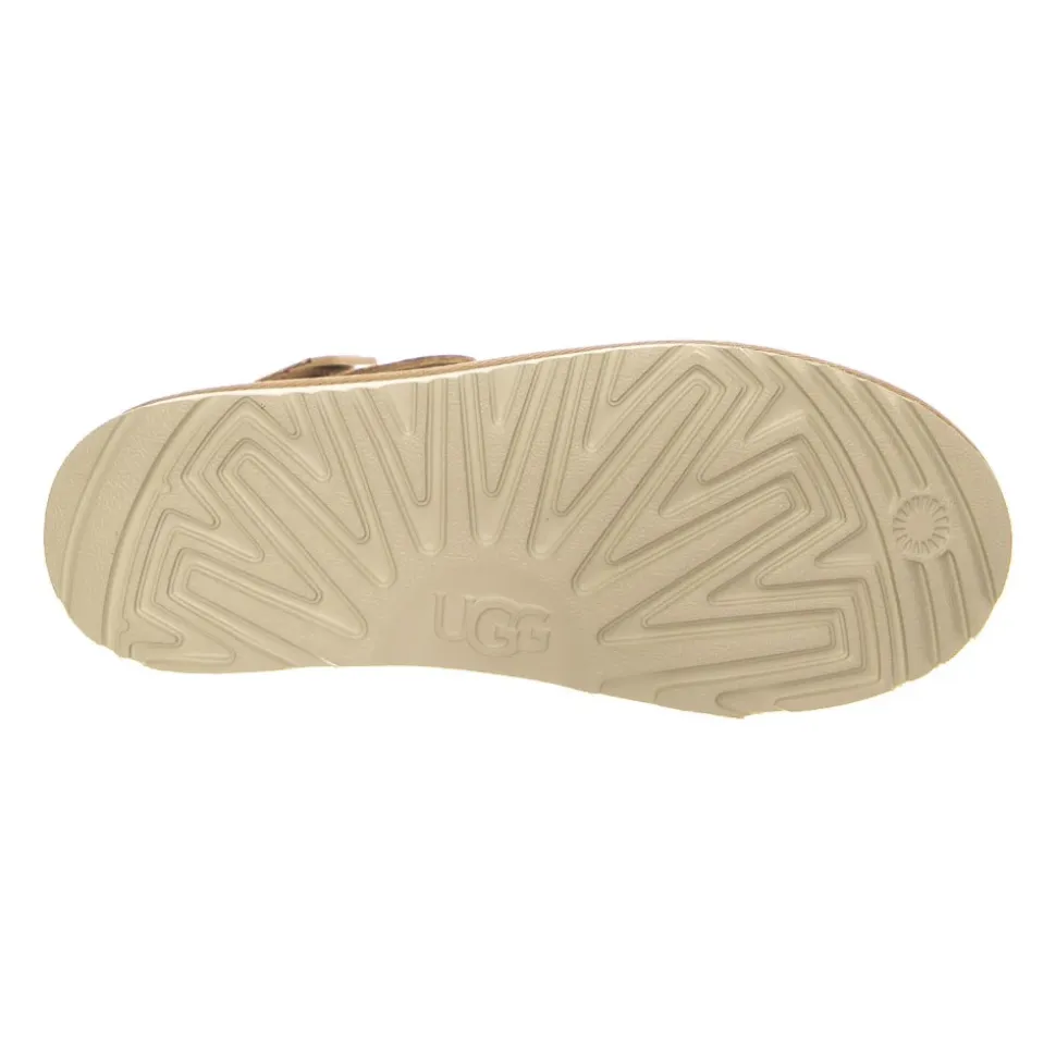 Goldenstar Clog