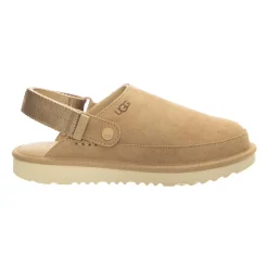 Goldenstar Clog
