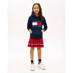 Heritage Flag Hoodie