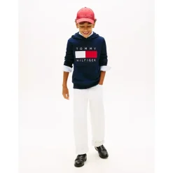 Heritage Flag Hoodie