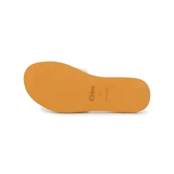 Logo Sandaler