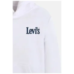 LVB Classic and Clean Hoodie