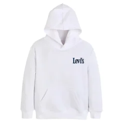 LVB Classic and Clean Hoodie