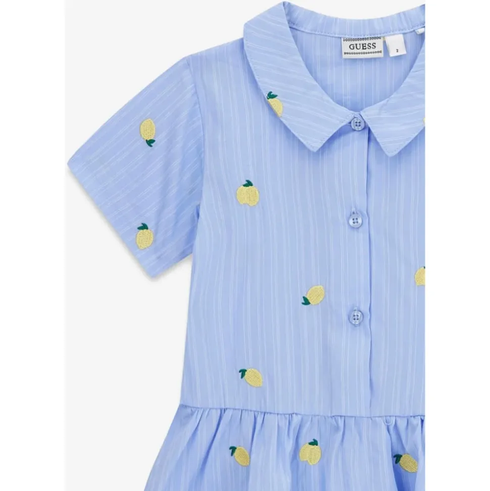 Poplin Striped Lemons Dress