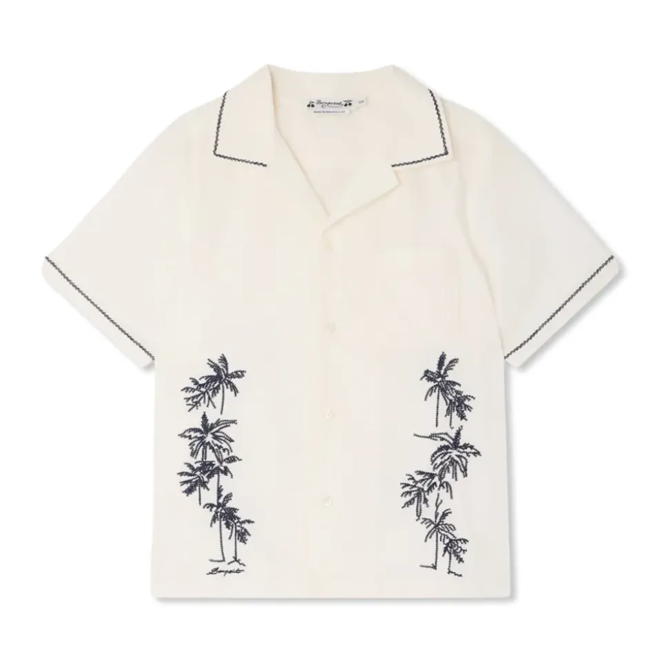 Steve Shirt