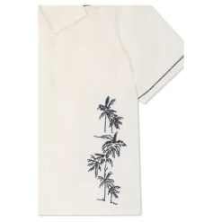 Steve Shirt
