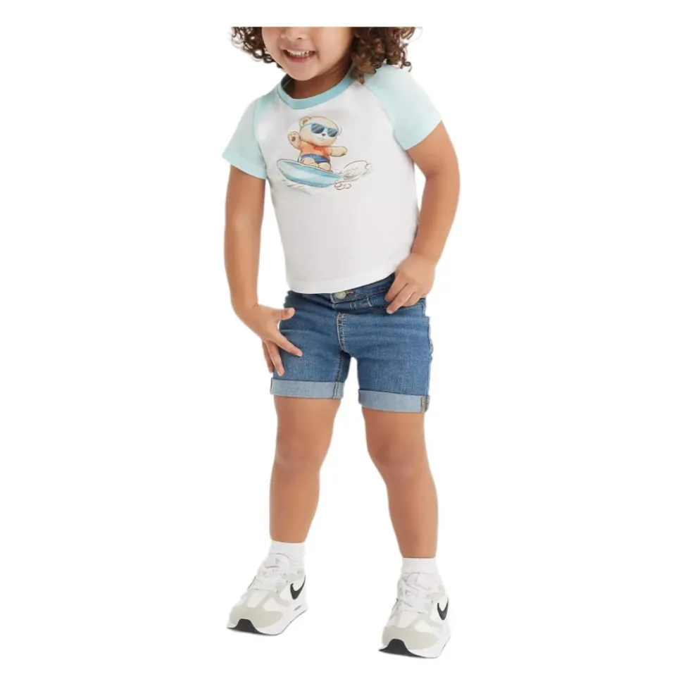 Surfing Bear Set