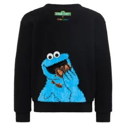 Teddyshirt
